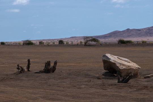 The Terra Boa (english: Good Land) desert at Sal Island in Cape Verde is a unique, flat, open area in the north of the island that stretches as far as the eye can see. Terra Boa is famous for its dese