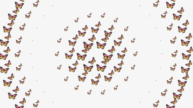 Pink and Purple Butterfly Seamless Pattern Background Nature Wildlife and Artistic Beauty Decoration Concept