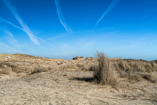 Nachmittags am Strand
