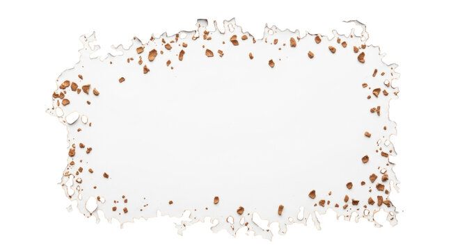 Small brown flakes, like wood shavings, scattered on transparent background with soft high-key light, framing central negative space. Concept of versatile organic background