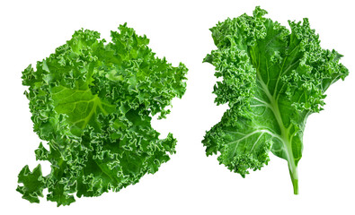 Obraz premium Kale leaves salad isolated on white background. Creative layout made of kale (Brassica oleracea). Flat lay. Top view. Detox food