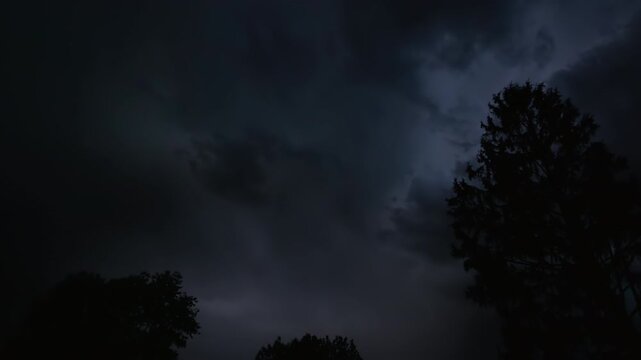 Series of lightning bolts on a dark night sky above the silhouette of trees, captured in slow motion.
