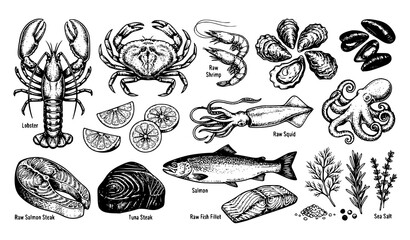 Seafood sketch vector set hand drawn fresh sea cuisine illustration © abdul