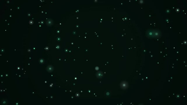 エメラルドグリーン粒子が漂う幽玄な森の4Kループ素材