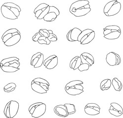 Obraz premium Hand drawn pistachio nuts collection, minimalist line art style, healthy snacks icons isolated on white, vector illustration.