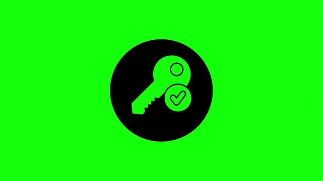 Animated key with check mark icon on green screen, access granted, solution, success, security