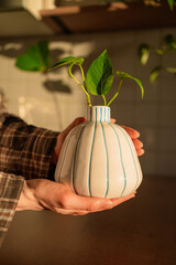 Person's hands gently cupping a white ceramic vase with blue stripes, showcasing fresh green philodendron cuttings as a new plant grows, symbolizing home gardening and nature indoors © wifesun