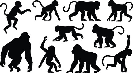Collection of black monkey and ape silhouettes in various poses on white background © Badhon
