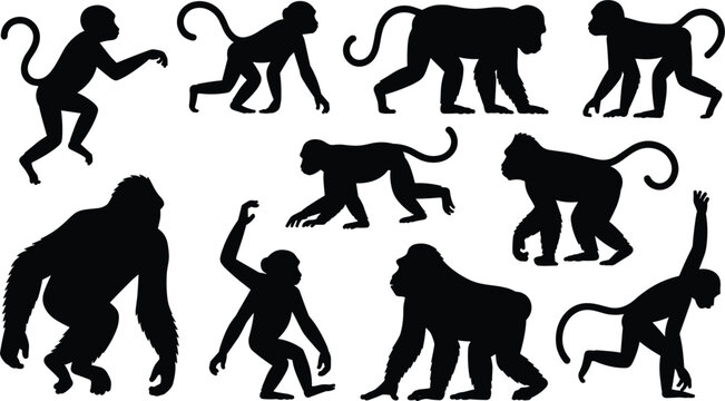Collection of black monkey and ape silhouettes in various poses on white background