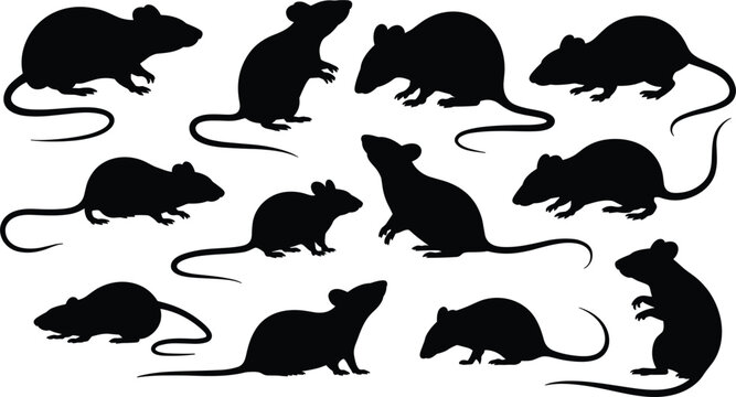 Collection of black mouse and rat silhouettes in various poses on a white background, rodent animal