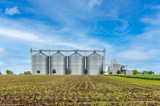 four metal silos in the field