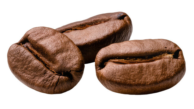 Roasted dark brown coffee beans close-up still life