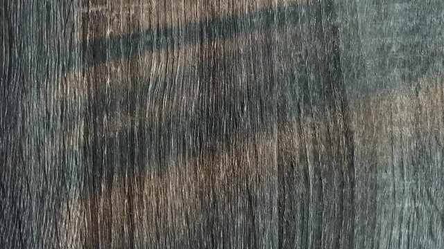 Dark Wood Texture with Moving Sunlight Shadows