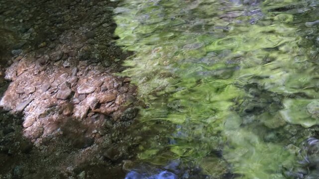 Clear mountain stream with rocky riverbed and green reflections, silent nature footage