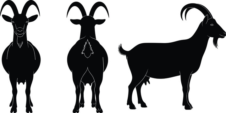 Goat silhouette collection with different farm animal standing poses