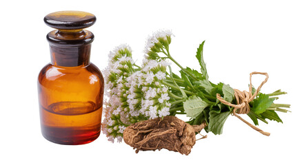 Amber glass bottle with dried herbs roots, and flowers tied with twine © Michal
