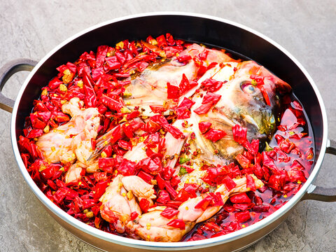 Bullfrog, bighead carp, and chili pepper