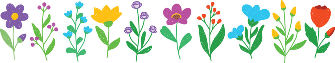 Colorful spring wildflower set in hand drawn line art style. Vibrant botanical stems with daisy, tulip and berry branches perfect for garden, greeting and trendy floral designs. © Sajjit