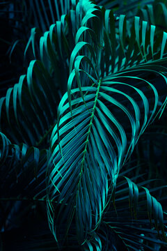 Tropical palm leaf with deep navy blue tones, Glow in the dark.