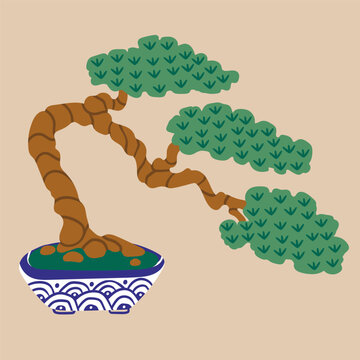 Beautiful Bonsai tree. Small decorative tree in a pot. Traditional Japanese plant, oriental garden art. Little potted decorative houseplant. Hand drawn trendy Vector illustration. Isolated element