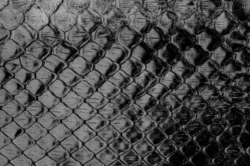 Black glossy python leather texture close up with reptile scale pattern for fashion background © reddish