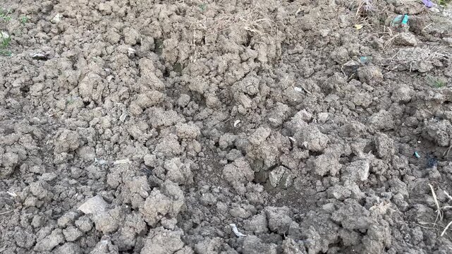 Textured Dry Soil Ploughed for Agriculture