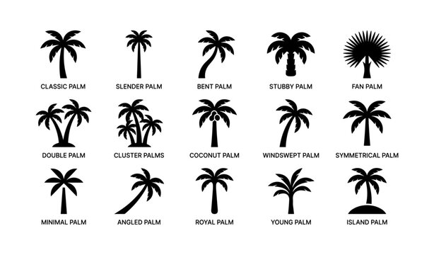 Palm tree icons showing various palm types on white background