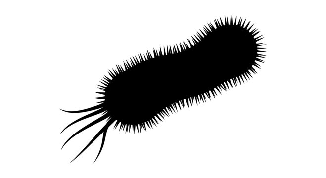 Microscopic bacteria cell silhouette with flagella and pili