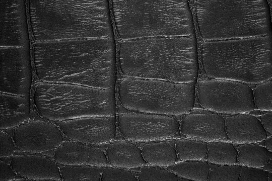 Black reptile leather surface with crocodile scale texture and natural matte finish background
