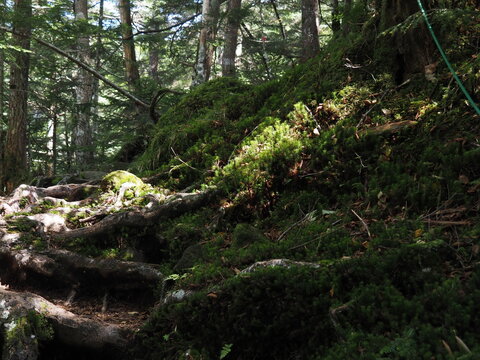 In late September, Mount Kitayokodake in the Northern Yatsugatake range offers a highland mountain landscape of rocky ridges, subalpine conifer forests, and early autumn scenery in Nagano, Japan.