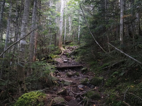 In late September, Mount Kitayokodake in the Northern Yatsugatake range offers a highland mountain landscape of rocky ridges, subalpine conifer forests, and early autumn scenery in Nagano, Japan.