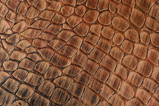 Brown reptile leather texture close up with crocodile scale pattern and matte natural surface