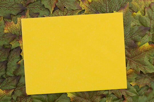 Yellow card mockup with early fall leaves