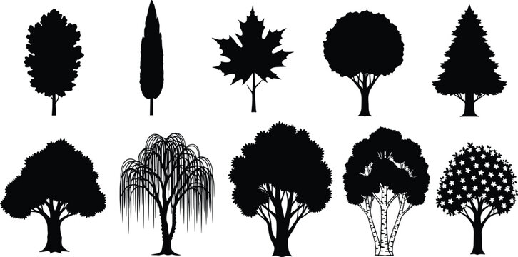 Forest Tree Silhouette Vector Collection with Maple Willow Pine and Birch Nature Design Elements