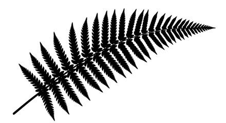 black silhouette of a fern leaf on white background © Sekh