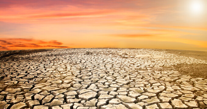 Drought and cracked soil
