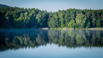 Fototapeta premium Serene Forest Lake Reflection