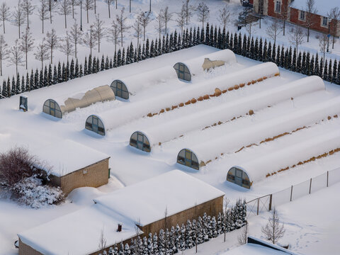 Aerial view of arched greenhouses covered in heavy snow next to small buildings and rows of coniferous trees in Lithuania.