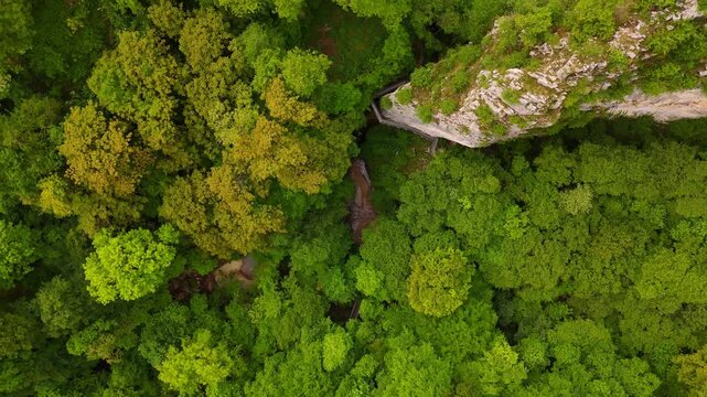 Cinematic aerial drone footage over dramatic Alpine foothills in Italy, with deep green valleys, rugged limestone cliffs, and a winding asphalt road cutting through dense forests mountainous terrain