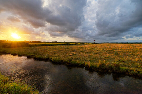 The marshes of Fouras in Charente-Maritime coast