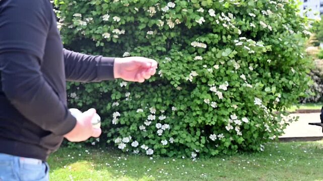 Close up slow motion of man hand releasing steel petanque ball, detailed grip and release technique during outdoor boules game throw
