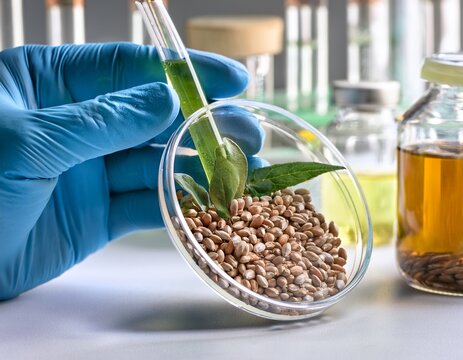 food science laboratory testing natural ingredients for nutrition and quality control
