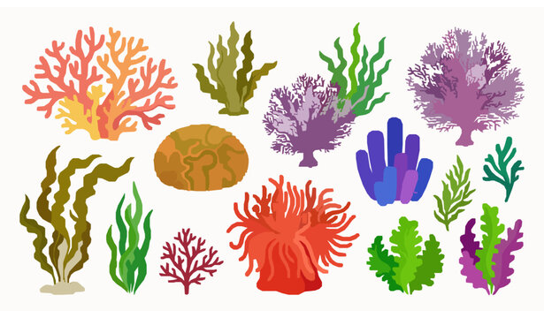 Coral reefs and seaweed vector illustration set underwater plants