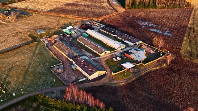 Livestock farm production facility with buildings and surrounding fields from above