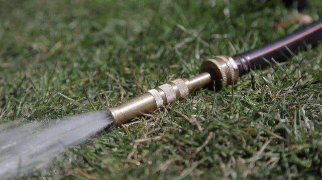 A metal nozzle of a hose lying on the grass, from which an intense jet of water flows and then cuts off. The nozzle is golden and the hose is black, on dense grass.
