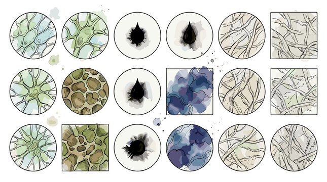 Collection of microscopic images showcasing diverse cellular structures and textures