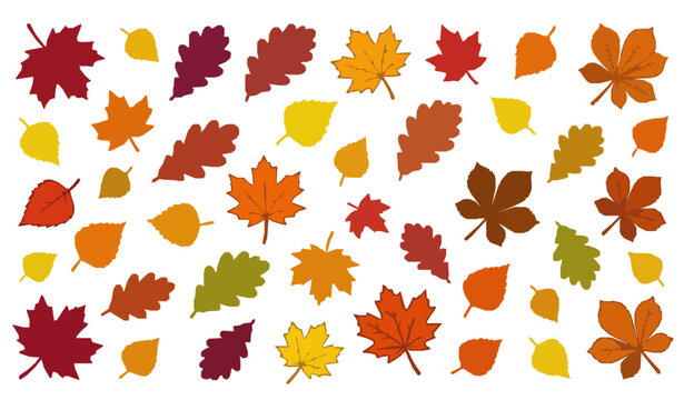 Colorful autumn leaves pattern, fallen maple and oak foliage, fall season nature background.