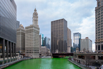 Fototapeta premium The Chicago River is dyed a vibrant emerald green to celebrate St. Patrick's Day, surrounded by the city's iconic skyscrapers and the historic Wrigley Building.