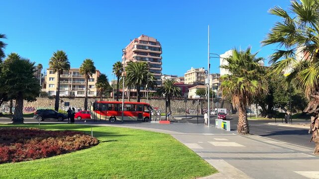 Valparaiso, Chile, March 11, 2026, view of a city street with palm trees, residential buildings, and cars passing by under a clear blue sky