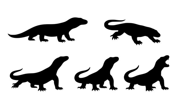 Komodo dragon silhouettes in different walking poses, wild reptile animal icons.
